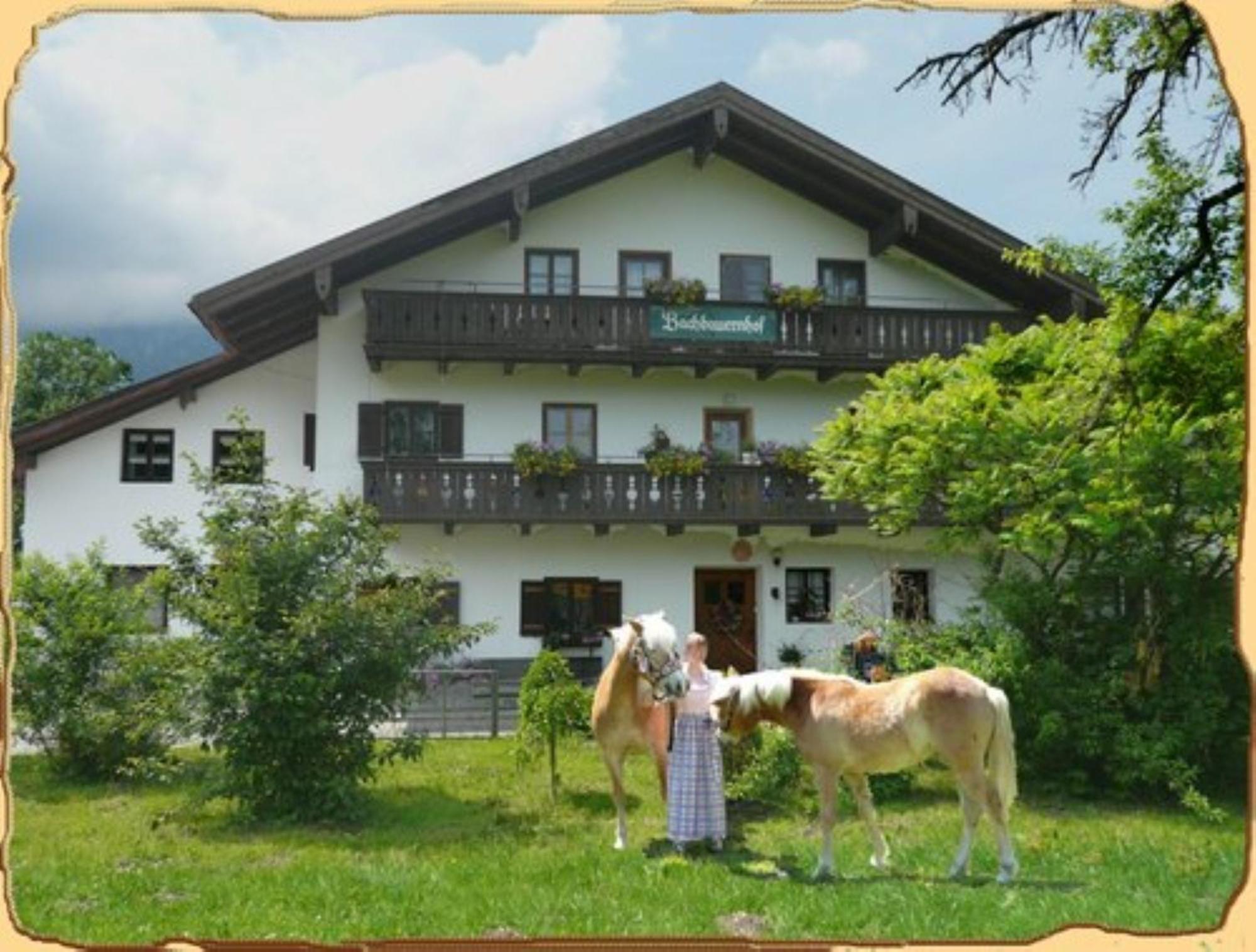 Apartament Bachbauernhof Bayerisch Gmain Zewnętrze zdjęcie